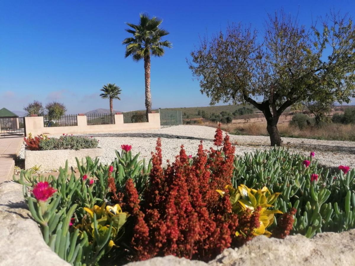 Finca Guillermo Murcia Canada del Trigo Extérieur photo